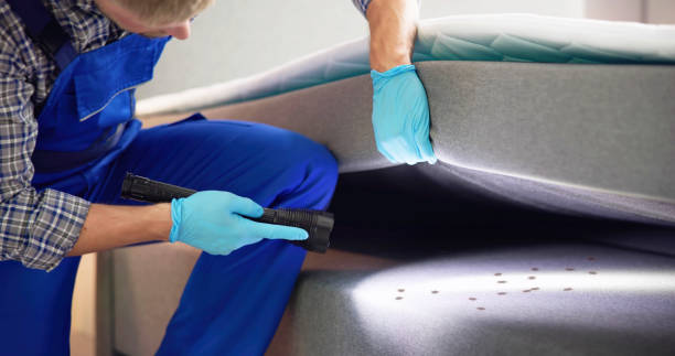Best Pest Prevention Services  in Desert Hills, AZ